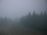 19 : 08