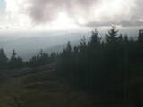 17 : 24