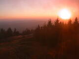 19 : 10