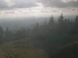 17 : 20