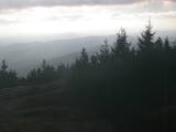 17 : 36