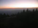 19 : 36