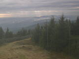 17 : 20