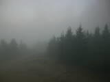 07 : 20