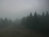 08 : 08
