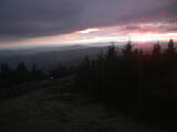 19 : 10