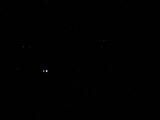 03 : 48