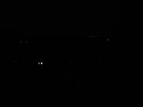 05 : 36
