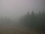 08 : 44