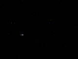 03 : 44