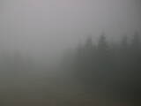 15 : 32