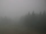 16 : 12