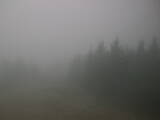 16 : 20