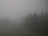 16 : 32