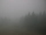 16 : 48