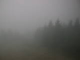 16 : 56