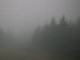 17 : 12