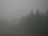 17 : 16