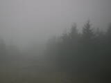 17 : 20
