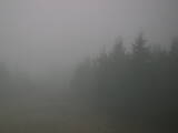 17 : 24
