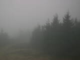 17 : 32