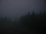19 : 14