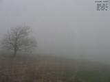 15 : 48