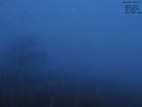 20 : 24