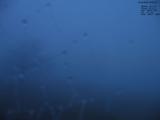 05 : 20