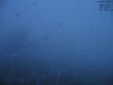 05 : 24