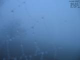 05 : 44
