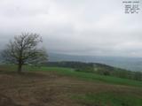 13 : 16