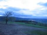 20 : 36