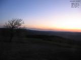 20 : 16