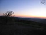 20 : 16