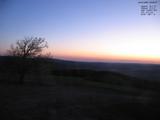 20 : 20
