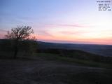 20 : 20