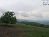 16 : 28