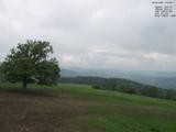 17 : 12