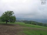 17 : 28