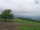 17 : 32