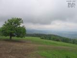 17 : 36