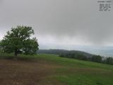 17 : 48