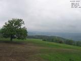 18 : 20