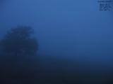20 : 56