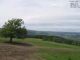 13 : 28