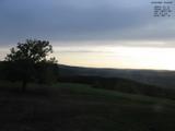 19 : 44