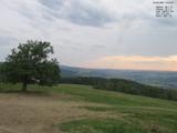 19 : 16