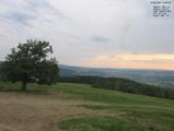 19 : 20