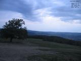 20 : 56